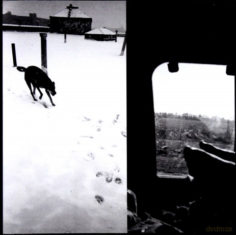 Braveyoung: We Are Lonely Animals [CD]