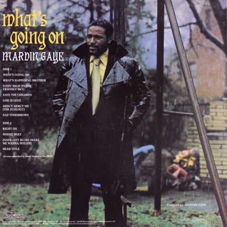 Marvin Gaye: Whats Going On [Winyl]