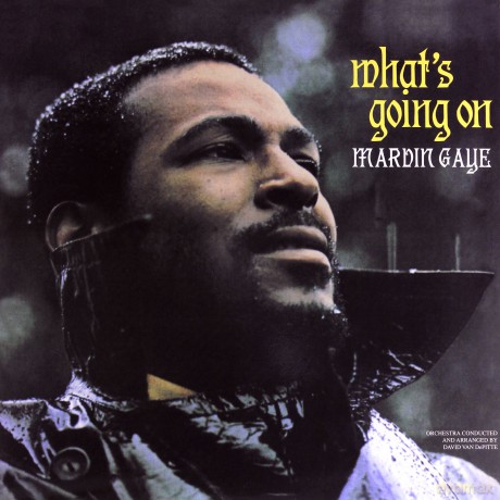 Marvin Gaye: Whats Going On [Winyl]