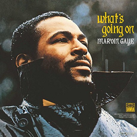 Marvin Gaye: Whats Going On [Winyl]