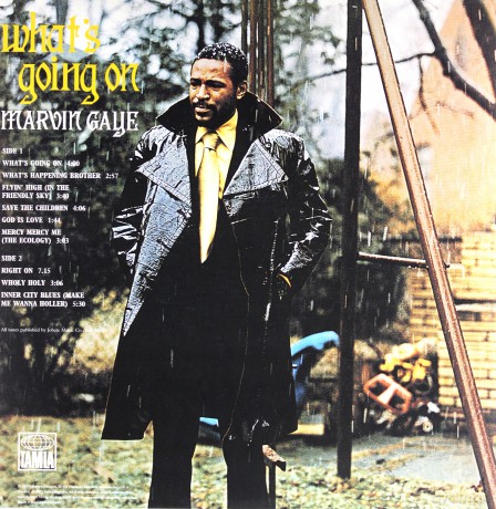 Marvin Gaye: Whats Going On [Winyl]