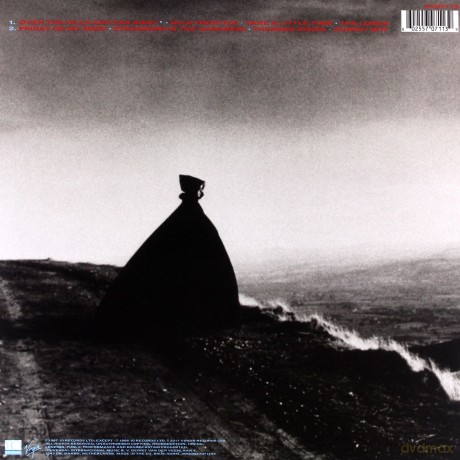 Gary Moore: Wild Frontier [Winyl]