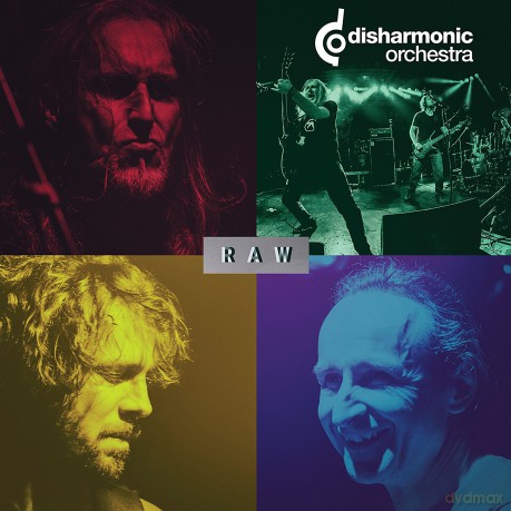 Disharmonic Orchestra: Raw [Winyl]