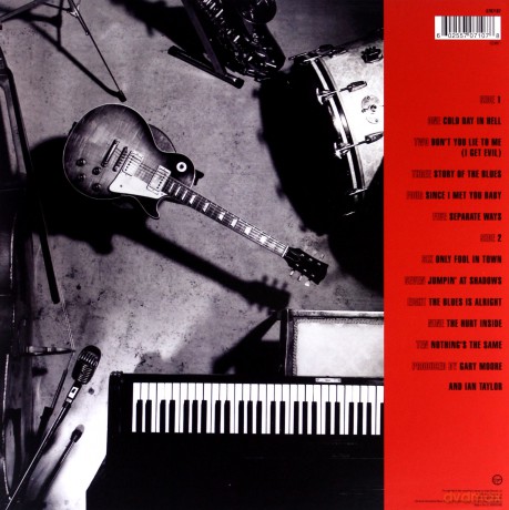 Gary Moore: After Hours [Winyl]