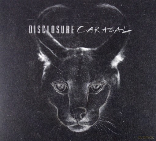 Disclosure: Caracal [CD]