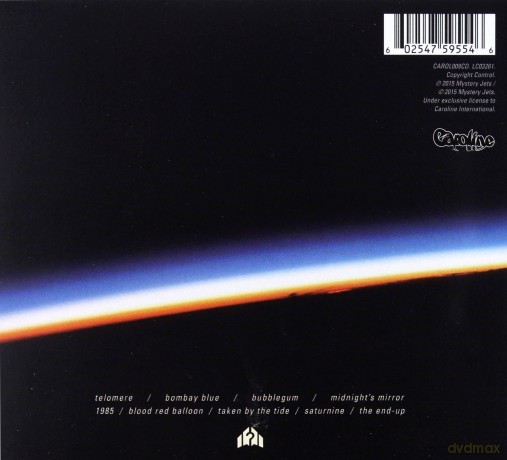 Mystery Jets: Curve Of The Earth [CD]