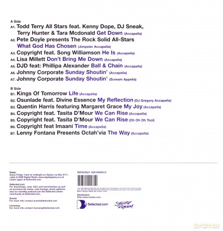 Defected Accapellas Volume 6: Divas Part 2 [Winyl]