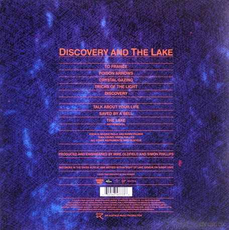 Mike Oldfield: Discovery [Winyl]
