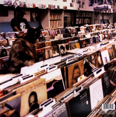DJ Shadow: Endtroducing [2xWinyl]