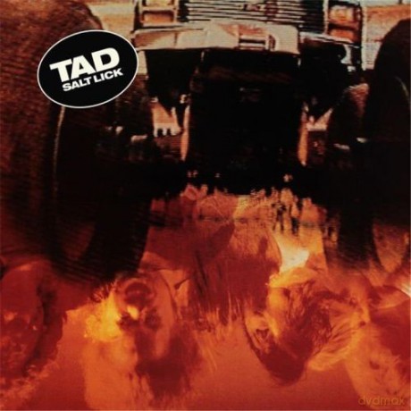 TAD: Salt Lick (digipack) [CD]