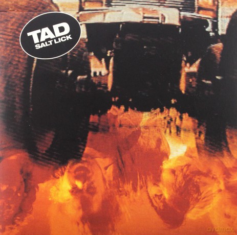 TAD: Salt Lick (digipack) [CD]