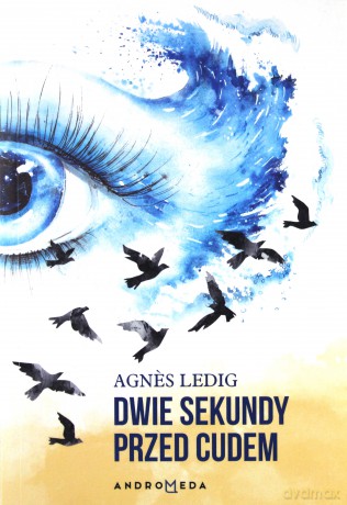 Dwie sekundy przed cudem - Agnes Ledig [KSIĄŻKA]
