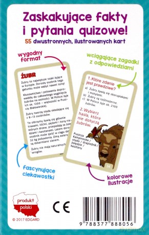 Karty edukacyjne. Quiz o Polsce [GRA]