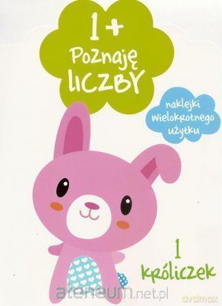 Poznaję liczby 1+ [KSIĄŻKA]