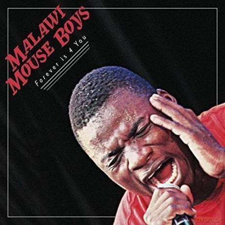 Malawi Mouse Boys: Forever Is 4 U [CD]