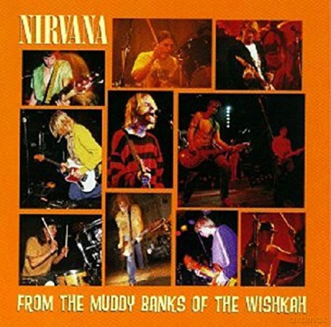Nirvana: From The Muddy Banks Of The Wishkah [2xWinyl]