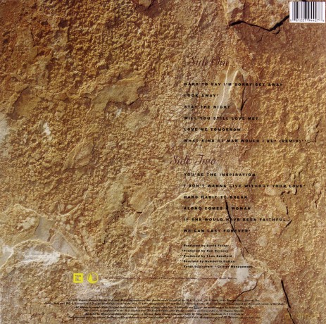 Chicago: Greatest Hits 1982 - 1989 [Winyl]