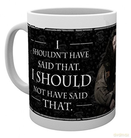 Harry Potter: Hagrid Quote