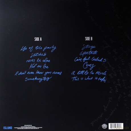 Shawn Mendes: Handwritten [Winyl]