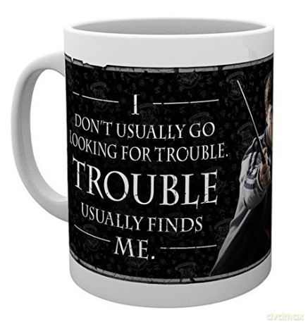 Harry Potter: Harry Quote