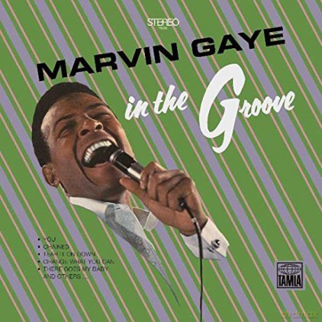 Marvin Gaye: In The Groove [Winyl]