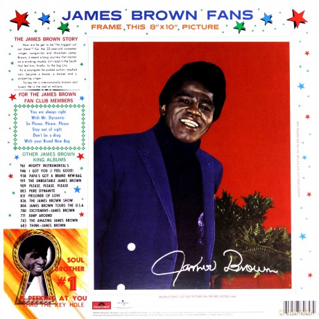 James Brown: Its A Mans Mans World [Winyl]