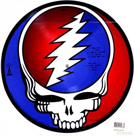 Grateful Dead: Live At The Centrum. Worcester. Ma. April 9. 1988(Picture winyl) [Winyl]