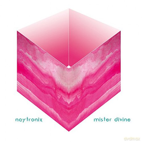 Naytronix: Mister Divine [Winyl]