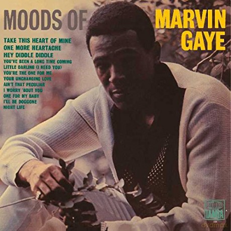 Marvin Gaye: Moods Of Marvin Gay [Winyl]