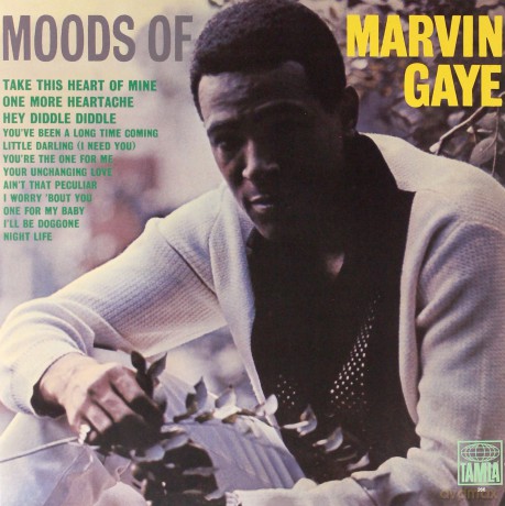 Marvin Gaye: Moods Of Marvin Gay [Winyl]