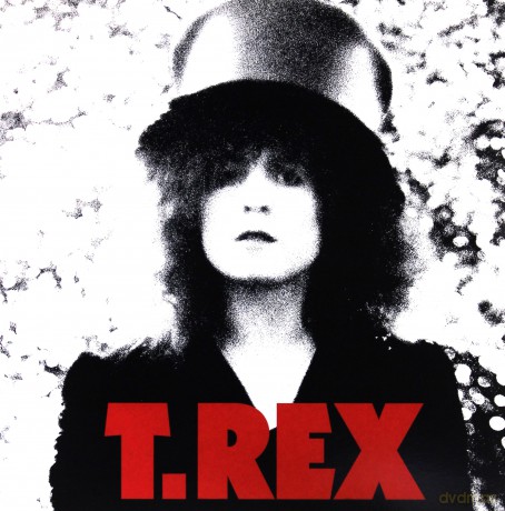 T.Rex: The Slider (40th Anniversary Edition) [Winyl]