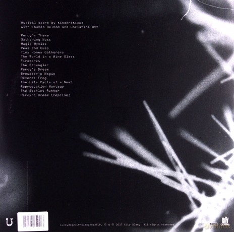 Tindersticks: Minute Bodies... (Limited Edition) [Winyl]