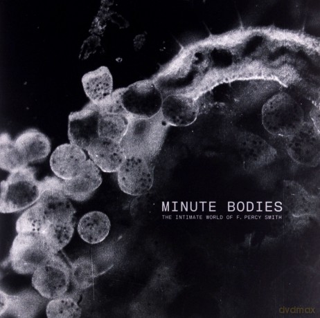 Tindersticks: Minute Bodies... (Limited Edition) [Winyl]