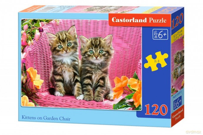 CASTOR 120 el. Kociaki na ogrodowym krześle [PUZZLE]