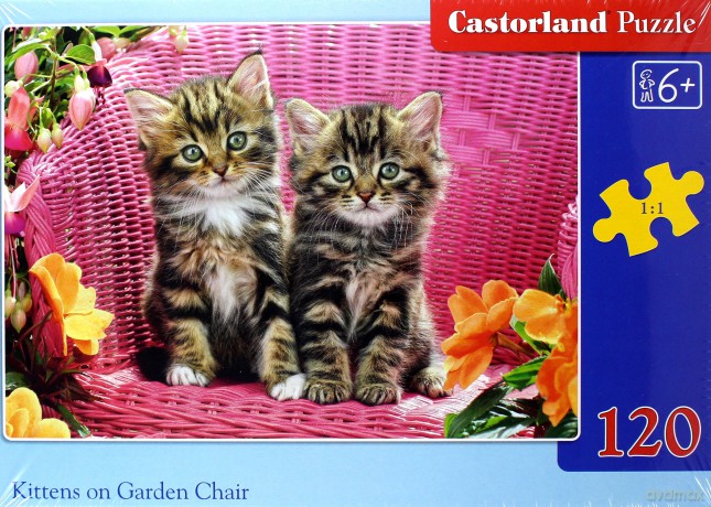 CASTOR 120 el. Kociaki na ogrodowym krześle [PUZZLE]