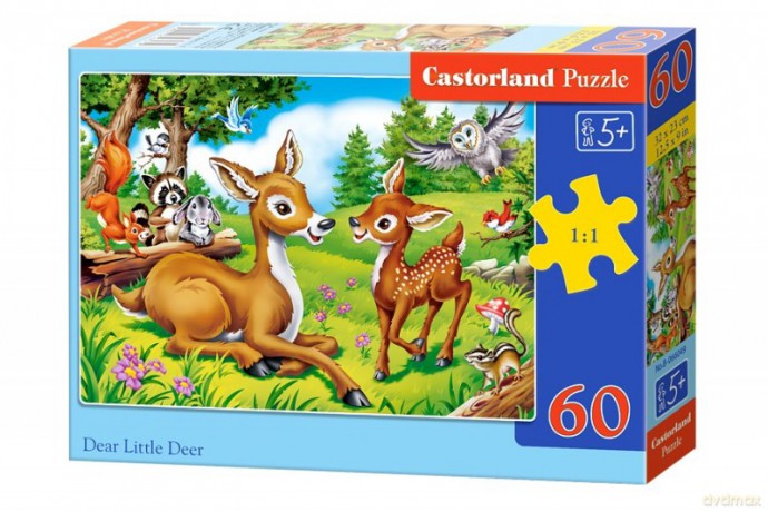 CASTOR 60 el. Jelonki [PUZZLE]