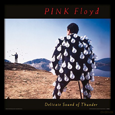 Pink Floyd: Delicate Sound Of Thunder Framed Album Cover Prints