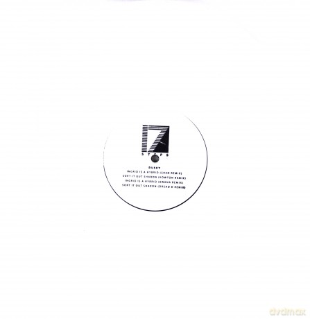 Dusky: Outer Remixes (Shed. Kowton. Dredd. Bwana Remixes) [Winyl]
