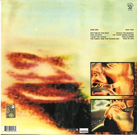 Peter Gabriel: Peter Gabriel 4: Security [Winyl]