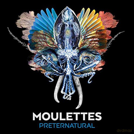 Moulettes: Preternatural [Winyl]