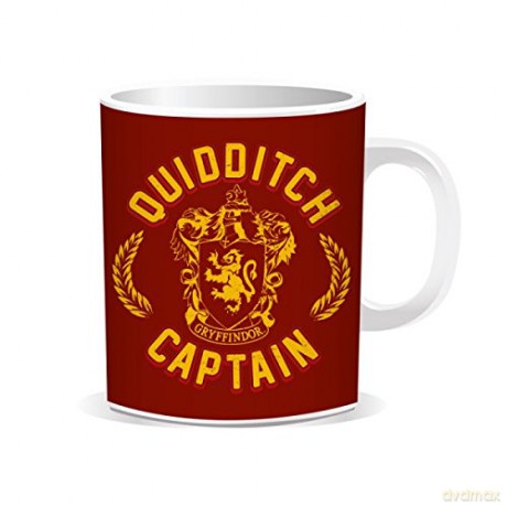 Harry Potter: Quidditch Captain Kubek