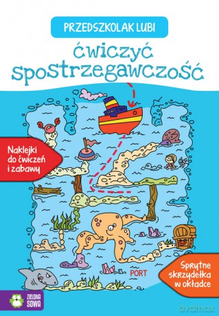 Przedszkolak lubi ćwiczyć spostrzegawczość [KSIĄŻKA]