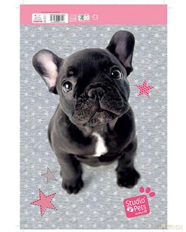 Blok rysunkowy Studio Pets