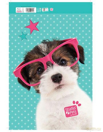 Blok rysunkowy Studio Pets