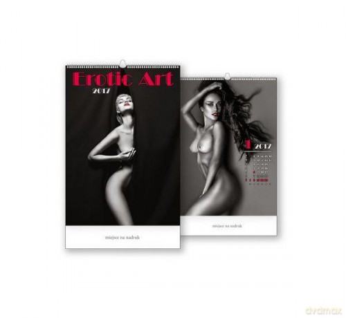 Kalendarz ścienny wieloplanszowy 2017 Erotic Art [KALENDARZ]