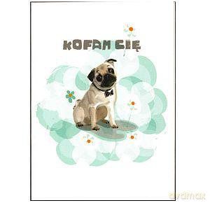 Karnet B6 Kofam Cię