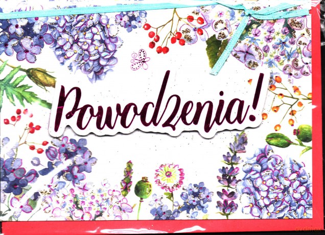 Karnet Powodzenia