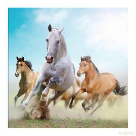 Kartka 3D MPF11 Horses In Dust