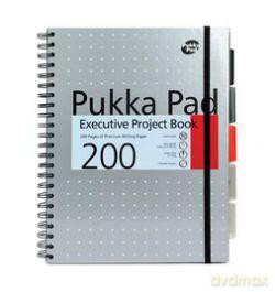 Kołobrulion A4/200 kartek w kratkę Executive Project Book Metallic srebrny