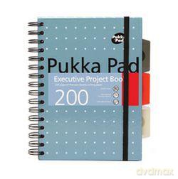 Kołobrulion A5/200 kartek w kratkę Executive Project Book Metallic niebieski